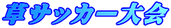 草サッカー大会