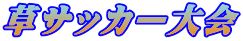 草サッカー大会